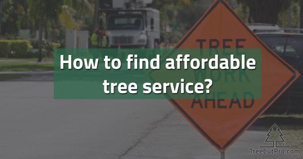 Affordable tree service work