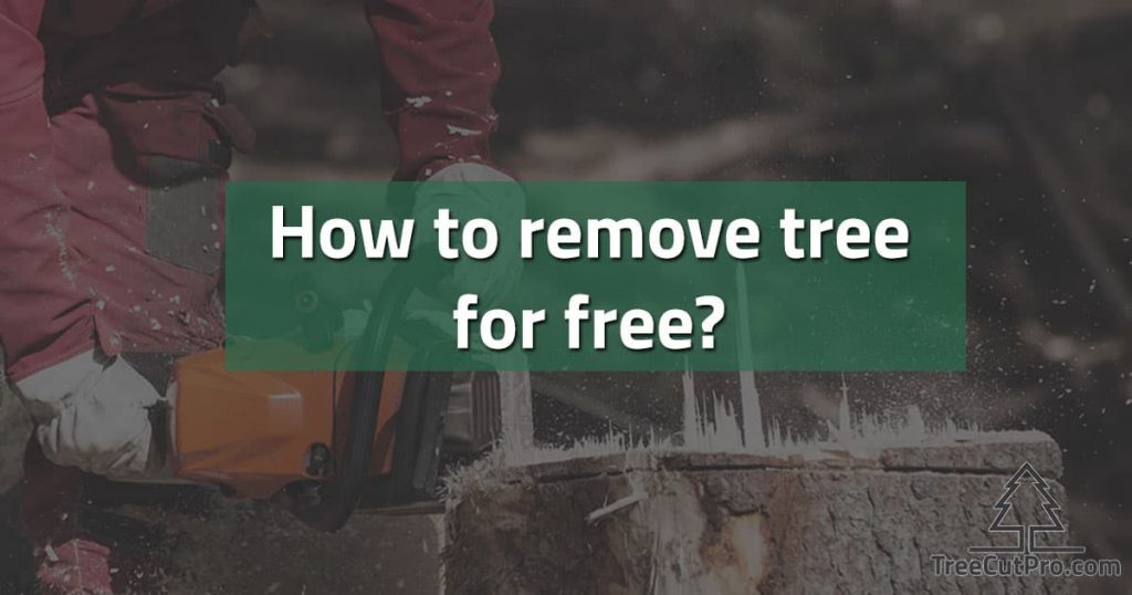 Free tree removing in action