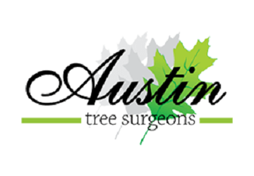 Austin Tree Surgeons
