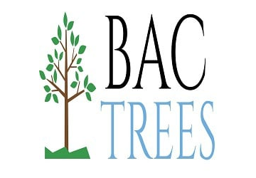 BAC Trees
