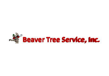 Beaver Tree service