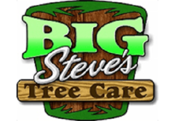 Big Steve’s Tree Care