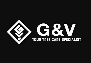 G & V Tree Service