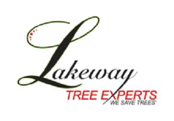 Lakeway Tree Experts