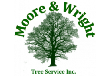 Moore & Wright Tree Services