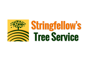 Stringfellow's Tree Service