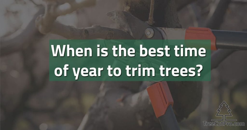 When to prune trees?