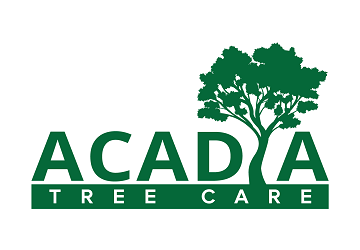 Acadia Tree Care