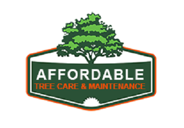 Affordable Tree Care
