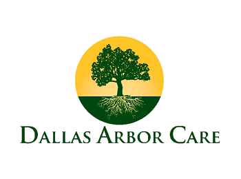 Dallas Arbor Care