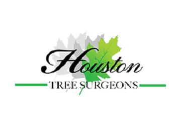 Houston Tree Surgeons