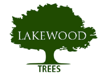 Lakewood Trees