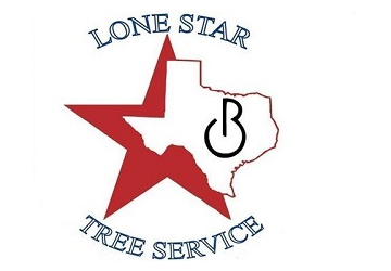 Olvera Lone Star Tree Service