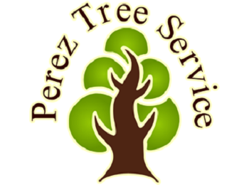 Perez Tree Service