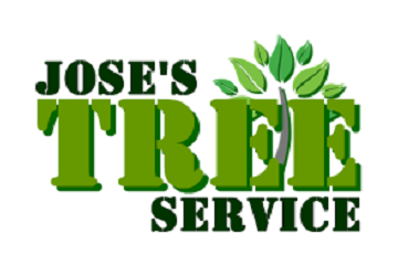 Jose's Tree Service