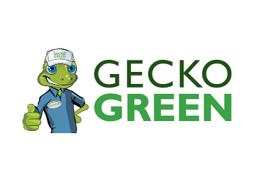 Gecko Green