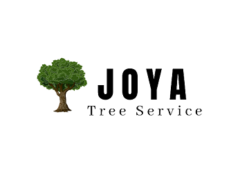 Julio Joya Tree