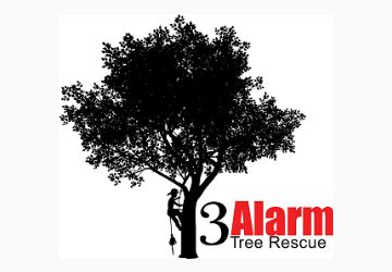 3 Alarm Tree Rescue