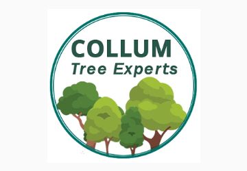Collum Tree Experts