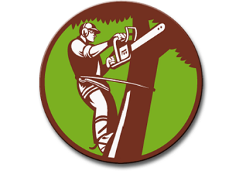 Eddie's Tree Service