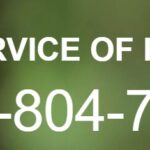 Tree Service of Houston