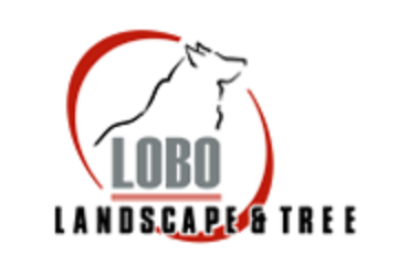 Lobo Lawn and Tree Care