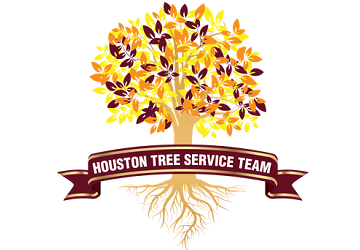 Houston Tree Service Team