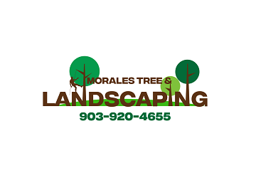Morales Tree & Landscaping Services