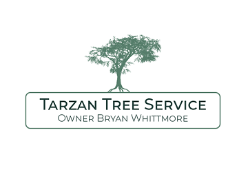 Tarzan Tree Service