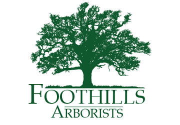 Foothills Arborists