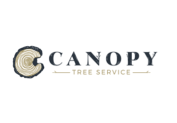 Canopy Tree Colorado