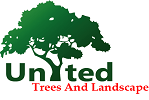 United Trees and Landscape